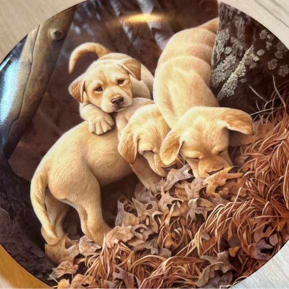 Limited Edition Bradford Exchange Collector Plate - Labrador Retriever Puppies - Picture 5 of 12